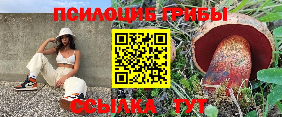 Кимры  Псилоцибиновые грибы Magic Shrooms  Вход с VPN  Псилоцибиновые грибы Cubensis 