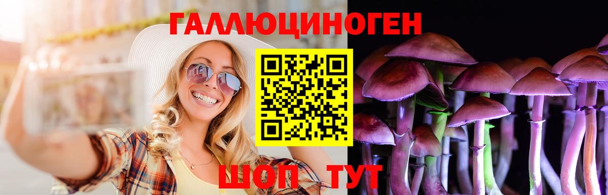 Псилоцибиновые грибы Cubensis Кимры